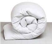 HP 17.3-inch Prelude Backpack (12 pack)