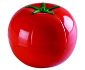 Study & Master Social Sciences Teacher's Guide Grade 5