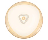 24 Watt LED Ceiling Fitting with Brown Acrylic Cover