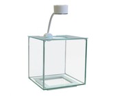 Carriwell - Belly Binder - Nude