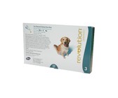 Focallure Matte Liquid Lipstick - Coquelicot