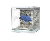 Schaller Guitar Brass Bell Control Knob with Set Screw (Gold)