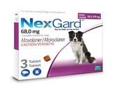 NexGard Chewable Tick & Flea Tablet For Dogs - 25.1 - 50kg (3 Tablets)