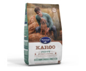 Montego - Karoo Puppy - Large Breed