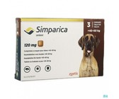SMPARICA 120mg Dark Brown 40.1-60.0kg 3 Chewable Tablets