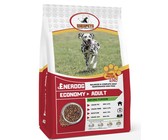 Meneer Koning se ongelooflike reis