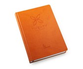 Digitronics Slimfit Shockproof Case for Xiaomi Mi 8SE