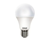 Eveready - 7W LED A60 Cool Daylight - Screw