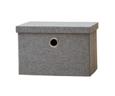 Die slinkse groen akkedis: Gr 5: Leesboek