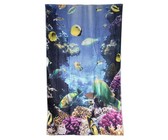 Evox 100% Whey Protein Advanced Strawberry 908G