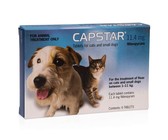 Rebel Heart Tour (DVD)