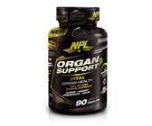 Nutritech Premium Whey Protein Peanut Butter Flavour - 1kg