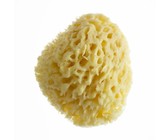 Fram Air Filter - Opel Kadett Euro - 200Is, Year: 1998 - 1999, 4 Cyl 1998 Eng - Ca5400