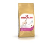Sphynx Adult 2Kg