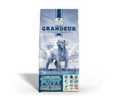 Go Travel Glo I.D.Tags - Orange