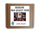 Bantex A4 PVC Folding Clipboard - Blue