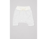 Allparts Electric Guitar Thin 0.50mm PVC Plectrums - Black (Pack of 144)