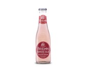 Fitch & Leedes Ginger Ale 24 x 200ml Glass
