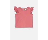 Boy Who Ate Dog Biscuits (eBook)