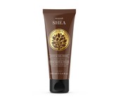 Dark And Lovely Au Naturale Moisture-Replenishing Shampoo - 250ml