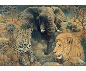 Djeco Progressive Puzzle - In the jungle