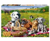 RGS Group Boho Sunset 1000 Piece Jigsaw Puzzle