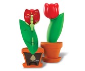 Edu-toys magnetic set