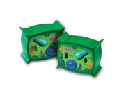 Edu-toys magnetic set