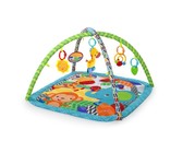 2 - in - 1 Cradling Swing and Rocker