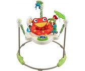 2 - in - 1 Cradling Swing and Rocker