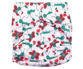 Fancypants All-In-One Cloth Nappy - Arrow