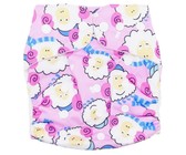 Fancypants All-In-One Cloth Nappy - Arrow