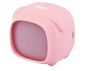 Q9 Splashproof Bluetooth Speaker and FM Radio