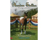Phantom Stallion #17: Mountain Mare (eBook)