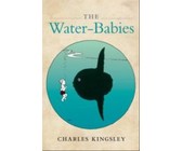 Thomas@geraamte.net : Boek 7