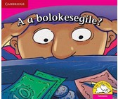 Boloka chenchi!: Gr R - 3: Reader