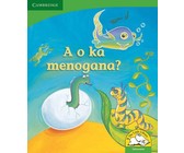 Boloka chenchi!: Gr R - 3: Reader