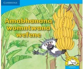 Boloka chenchi!: Gr R - 3: Reader
