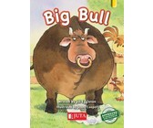 Big bull: Gr 2 Lower level - Yellow