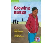 Kollig Op Afrikaans Graad 2 Leesboek: Die sokker-ekspo : Grade 2