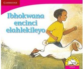 Izingqi ezoyikisayo