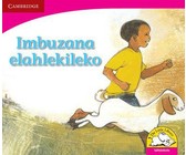 Izingqi ezoyikisayo