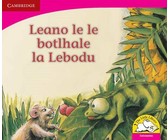 Maboko: Gr R - 3: Reader