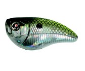 Predator Fishing Line & Braid Counter