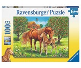 Ravensburger Horses In The Field - 1 x 100 Piece Puzzle