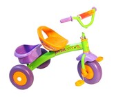 Fat Cat Kids Trike - Pink & Green