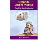 Via Afrika Sesotho puo ya lapeng: Gr 2: Teacher's guide