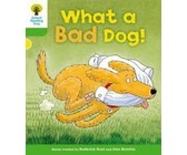 Oxford Reading Tree: Level 4: Floppy's Phonics Fiction: Green Planet Kids
