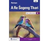 Stories vir lekker lees: Leesboek 2 Vlak 1: Gr 4 - 6