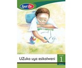Spot On Setswana Grade 1 Big Book: Ditlha tsa ngwaga : Grade 1